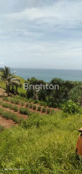 image LAHAN POTENSI WISATA DAN TAMBAK AIR PAYAU (3)