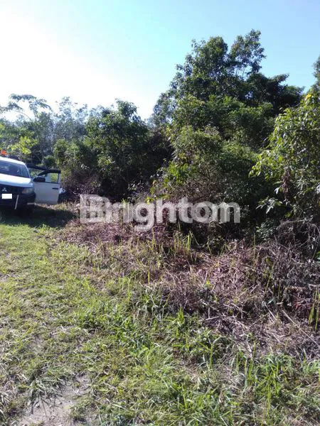 LAHAN DI DAERAH POTENSIAL, TENGAH KOTA TABALONG 1 JAM DARI BANDARA  WARUKIN