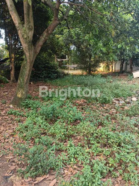 image TANAH STRATEGIS TUGU PENGASINAN DEKAT RSUD SAWANGAN DEPOK  (3)