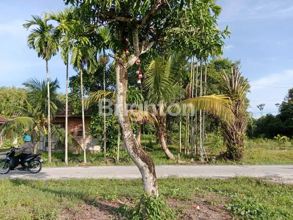 image TANAH LUAS 638M² PLUS RUMAH 4KT DI GARUDA SAKTI, TAMPAN (1)