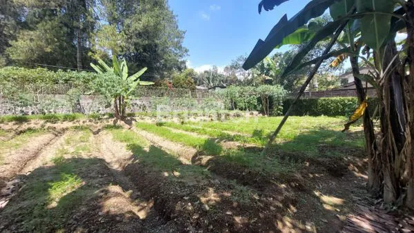 image THE GIANT GARDEN VILLA,   VILLA  MINIMALIS DILAHAN  YANG  SANGAT LUAS  DAN  SEJUK.....NEGO (6)