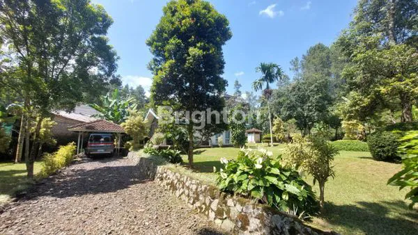 image THE GIANT GARDEN VILLA,   VILLA  MINIMALIS DILAHAN  YANG  SANGAT LUAS  DAN  SEJUK.....NEGO (2)