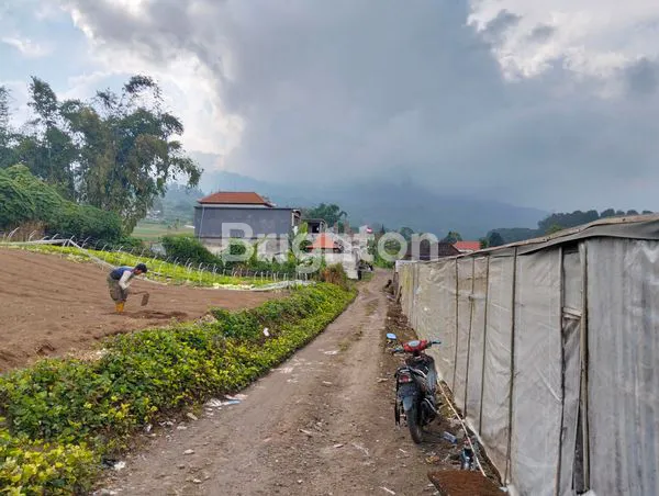 image DIJUAL CEPAT LAHAN PRODUKTIF DESA PEMUTERAN BEDUGUL COCOK UNTUK VILLA ATAU PERKEBUNAN (1)