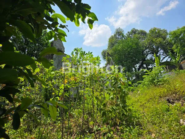 image DIJUAL TANAH LUAS DISEMARANG (4)