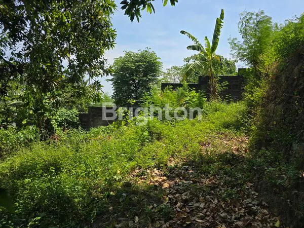 image DIJUAL TANAH LUAS DISEMARANG (6)