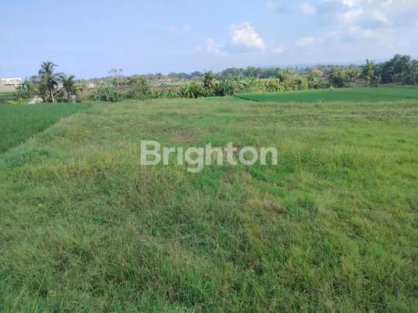 image DIJUAL TANAH LOKASI KELATING – TABANAN (3)