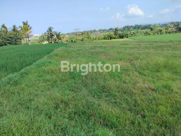 image DIJUAL TANAH LOKASI KELATING – TABANAN (2)