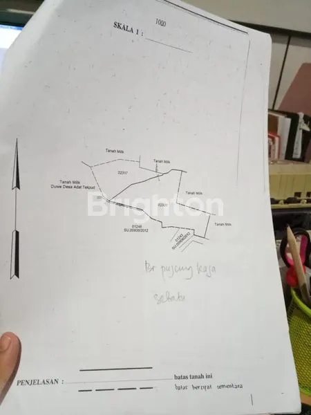 image TANAH PREMIUM 38 ARE  UNTUK HOTEL ATAU RESORT DI TEGALALANG UBUD BALI (2)