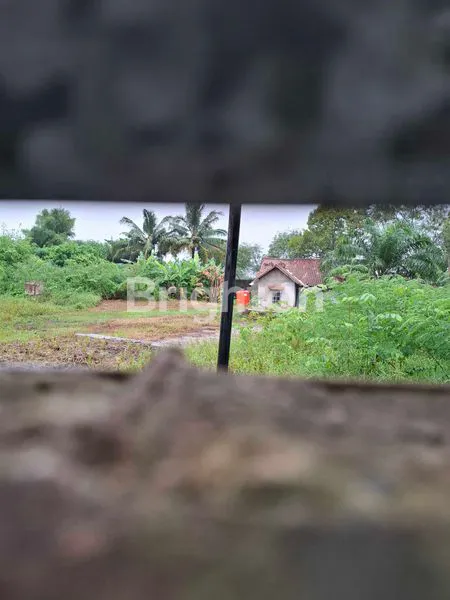 image LOKASI STRATEGIS PINGGIR JALAN RAYA (6)