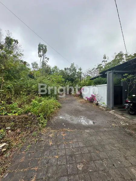 image TANAH LANGKA LUAS 1 ARE DEKAT PANTAI MELASTI, UNGASAN (4)