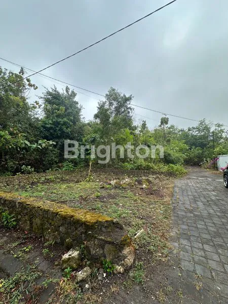 image TANAH LANGKA LUAS 1 ARE DEKAT PANTAI MELASTI, UNGASAN (1)