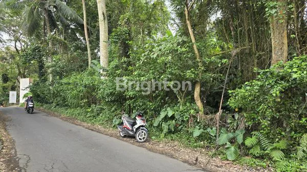 image DIJUAL TANAH JALAN UTAMA UBUD BALI (2)