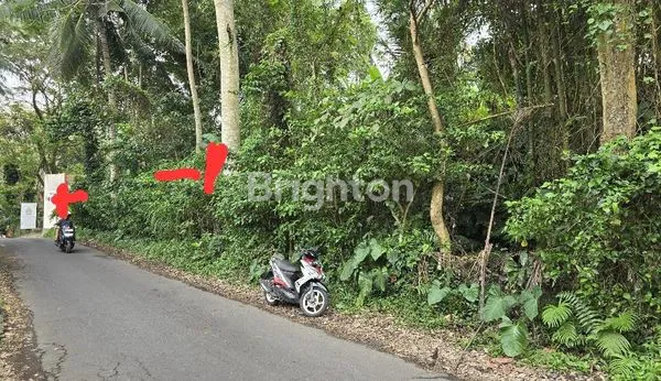 image DIJUAL TANAH JALAN UTAMA UBUD BALI (5)