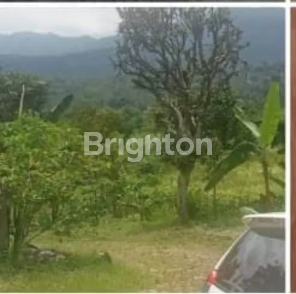 image TANAH SHM 1,3 HEKTAR DI BATULAYANG CISARUA – LOKASI PREMIUM PUNCAK (2)