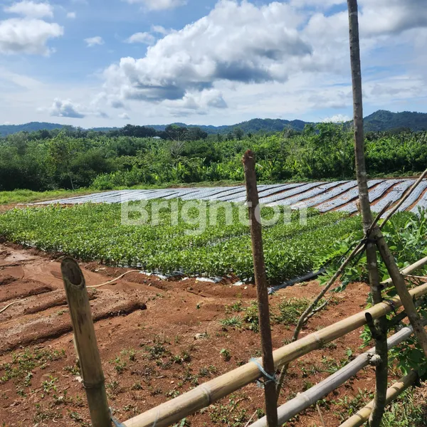 TANAH SHM 5,3 HEKTAR DI CIGUDEG BOGOR – HARGA MURAH, COCOK UNTUK INVESTASI