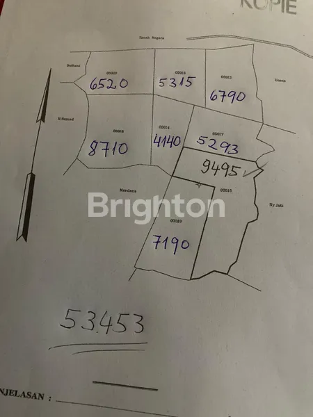 image TANAH SHM 5,3 HEKTAR DI CIGUDEG BOGOR – HARGA MURAH, COCOK UNTUK INVESTASI (3)