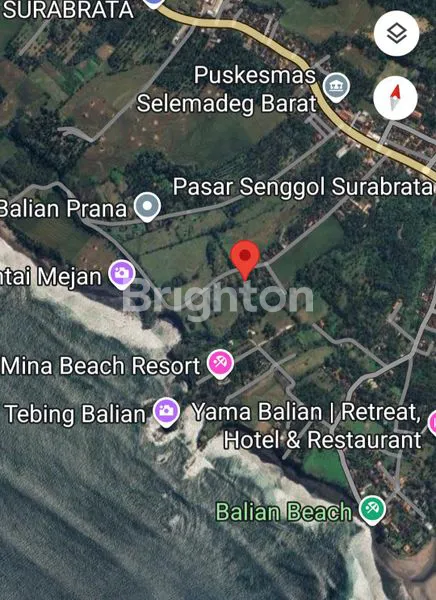 image TANAH PREMIUM 10 ARE DI BALIAN BEACH, 300M DARI PANTAI - SHM UNGU (4)