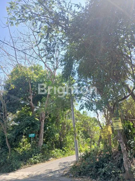 image TANAH DI JUAL & DI SEWAKAN (2)