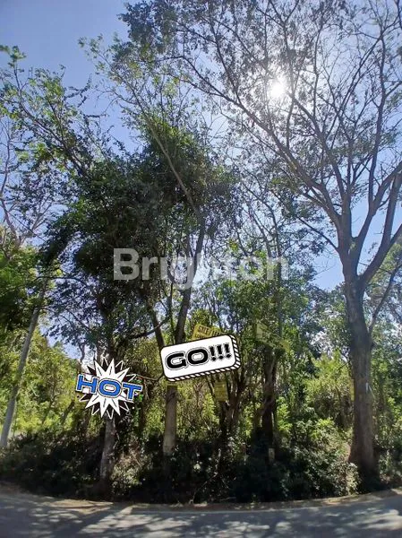 image TANAH DI JUAL & DI SEWAKAN (1)