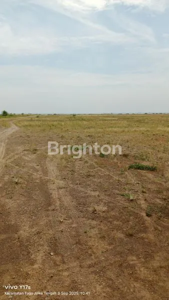 image TANAH DI KAWASAN INDUSTRI WIJAYAKUSUMA SEMARANG (5)