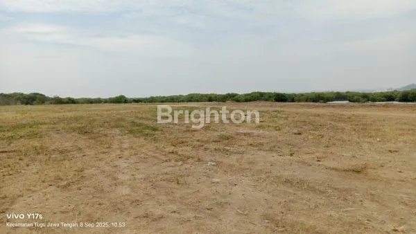 image TANAH SIAP CARI CUAN DI KIW SEMARANG (5)