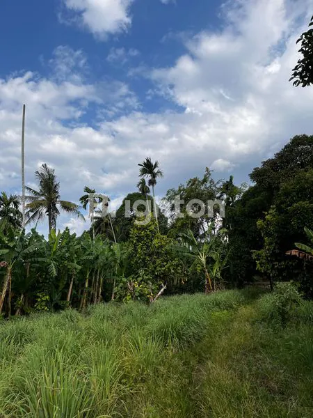 image TANAH PREMIUM 4400M² SIAP BANGUN DI PETUNIA 2 MEDAN (2)