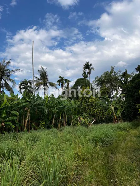 image TANAH PREMIUM 4400M² SIAP BANGUN DI PETUNIA 2 MEDAN (4)