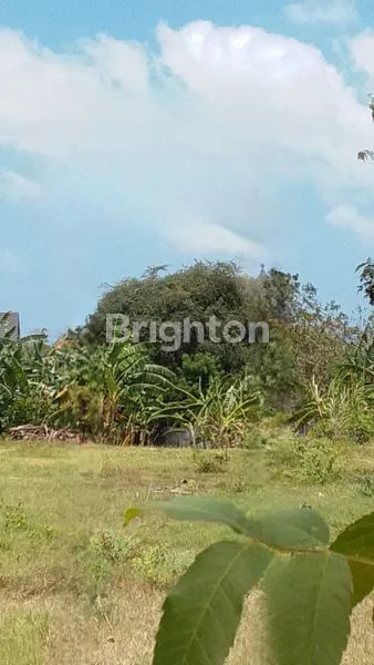 image JUAL SEWA TANAH STRATEGIS LOKASI TANAH PINGGIR JALAN RAYA JIMBARAN (3)