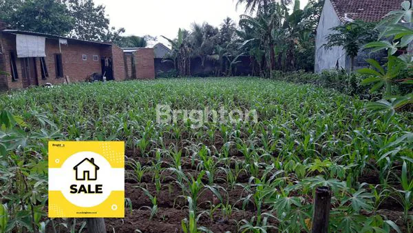 image TANAH PREMIUM 645M² SHM STRATEGIS DEKAT STADION KANJURUHAN KEPANJEN (1)