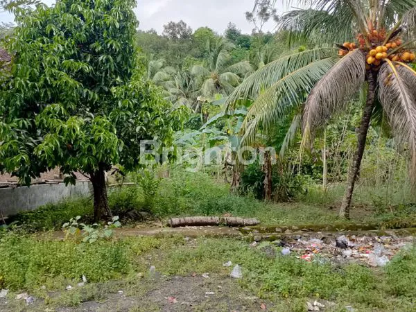 image JUAL TANAH DIPINGGIR JALAN (2)