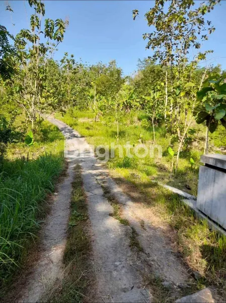 image TANAH DI JUAL BESAR DAN LUAS  (1)