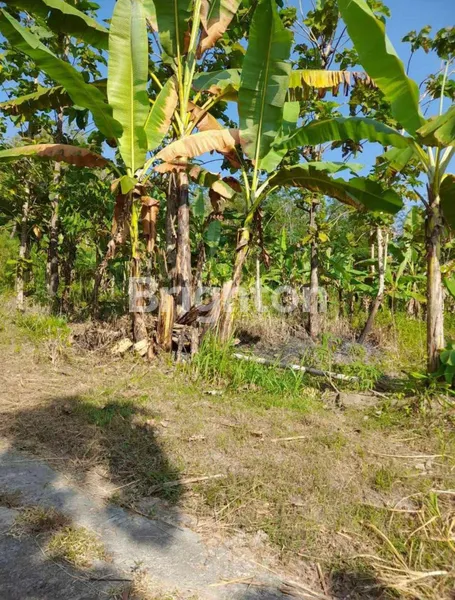 image TANAH DI JUAL BESAR DAN LUAS  (3)