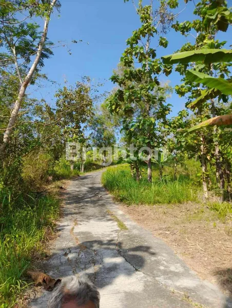 image TANAH DI JUAL BESAR DAN LUAS  (4)