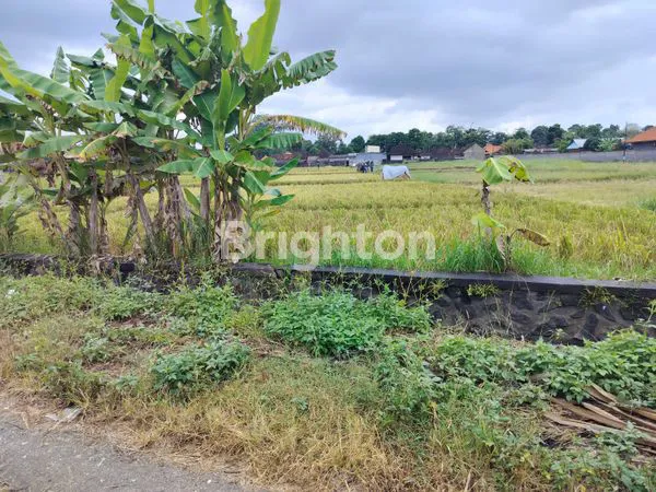 image DIJUAL TANAH DI KELATING – TABANAN (3)