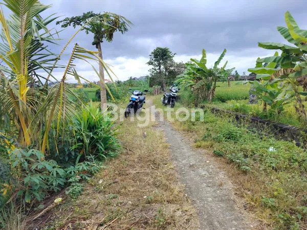 image DIJUAL TANAH DI KELATING – TABANAN (2)