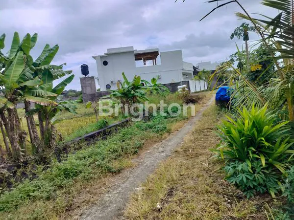 image DIJUAL TANAH DI KELATING – TABANAN (1)