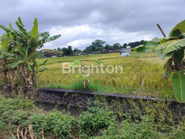 image DIJUAL TANAH DI KELATING – TABANAN (5)