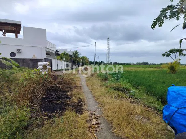 image DIJUAL TANAH DI KELATING – TABANAN (4)