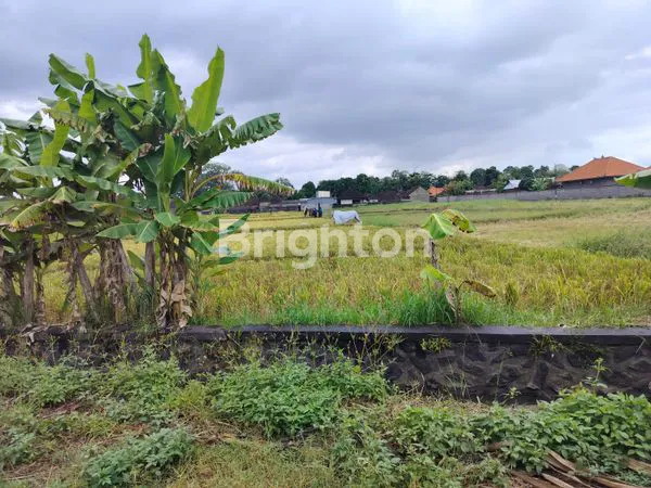 image DIJUAL TANAH DI KELATING – TABANAN (6)