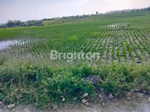 image DIJUAL TANAH LOKASI PASUT – TABANAN (8)