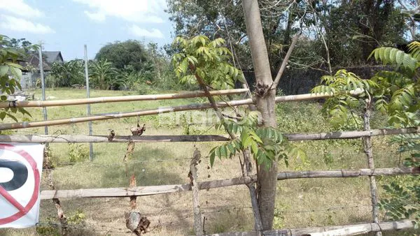 image TANAH STRATEGIS DI JIMBARAN (1)