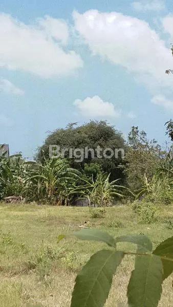 image TANAH STRATEGIS 18 ARE DIJIMBARAN (1)