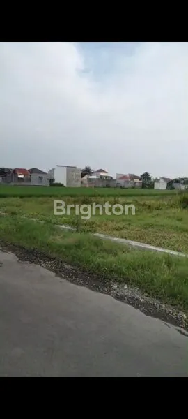 image TANAH PEKARANGAN COCOK BUAT KAPLINGAN PERUMAHAN  (2)