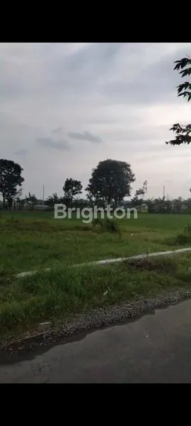 image TANAH PEKARANGAN COCOK BUAT KAPLINGAN PERUMAHAN  (1)