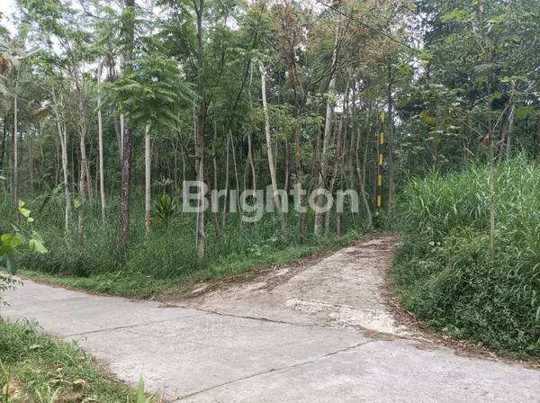 image TANAH DAN GUDANG PLUS BONUS GAZEBO--> MURAH POLL (2)