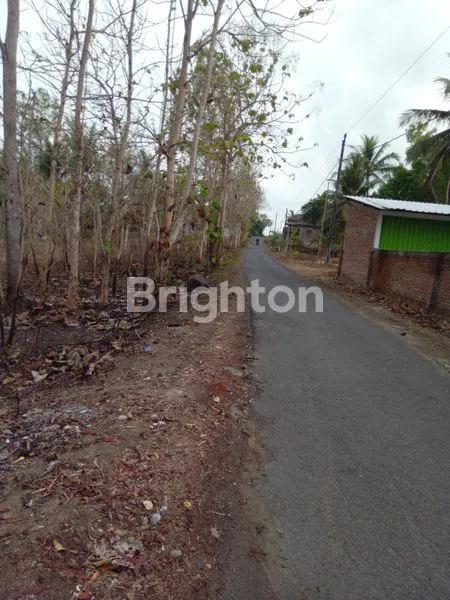 image TANAH LUAS 1.271M² , KULON PROGO (5)