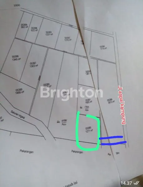 image TANAH LUAS 1.271M² , KULON PROGO (8)