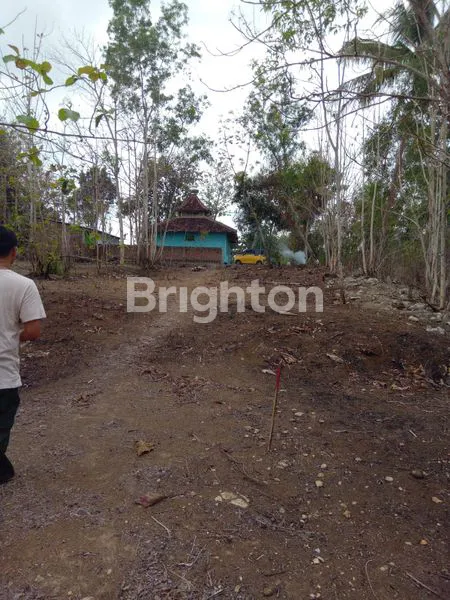 image TANAH LUAS 1.271M² , KULON PROGO (4)