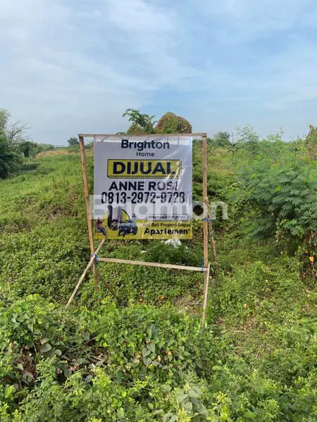 image HARGA BU TANAH IKER IKER CERME GRESIK, NOL JALAN DEKAT EXIT TOL (1)