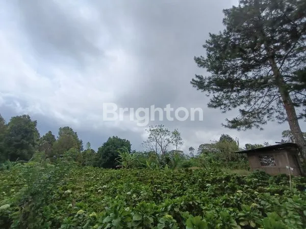 image TANAH KAVLING 250 M2 VIEW LAUT LOVINA & GUNUNG BATUKARU - KAWASAN PARIWISATA WANAGIRI BULELENG HANYA 150 METER DARI AIR TERJUN CINTA. (2)